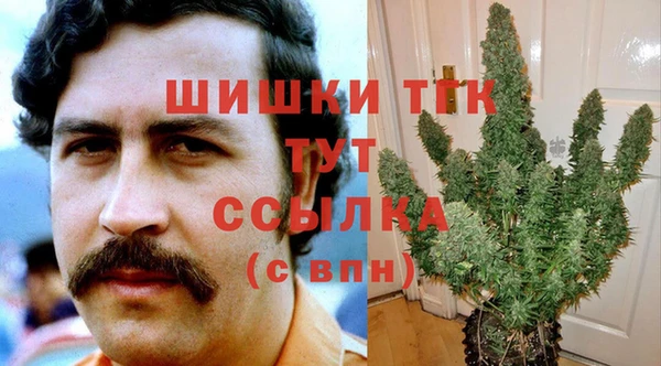 ECSTASY Краснослободск