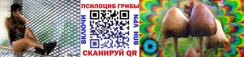 Псилоцибиновые грибы Psilocybe  где купить наркотик  Талица 